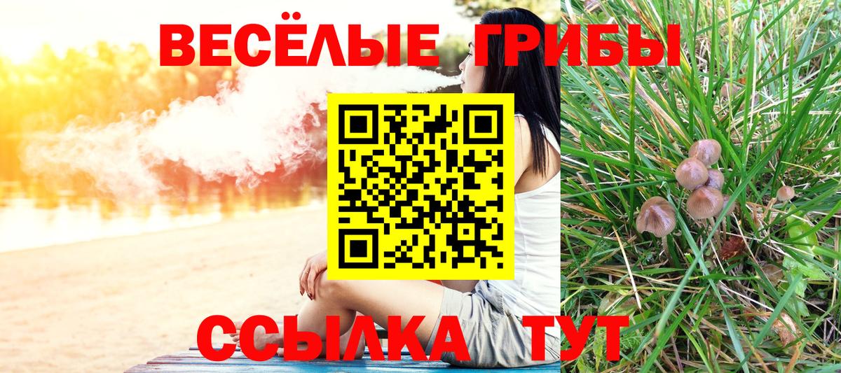 Галлюциногенные грибы мухоморы  Вход с VPN  Ржев  Псилоцибиновые грибы мицелий 
